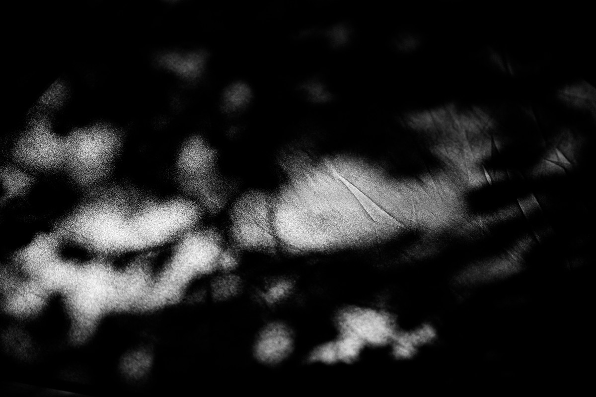 eqfoto의 사진 작품