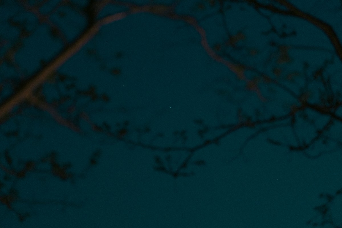 eqfoto의 사진 작품