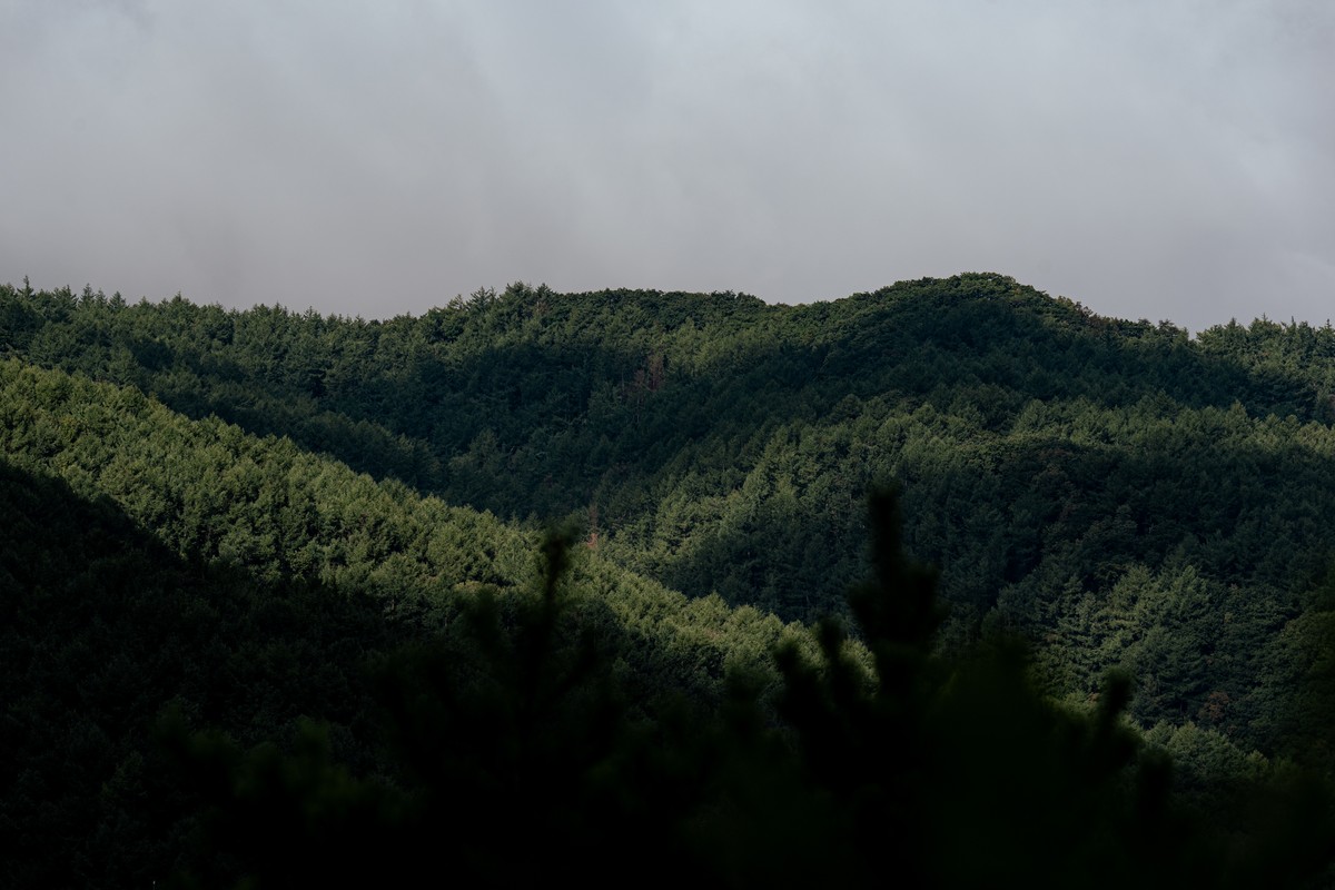 eqfoto의 사진 작품