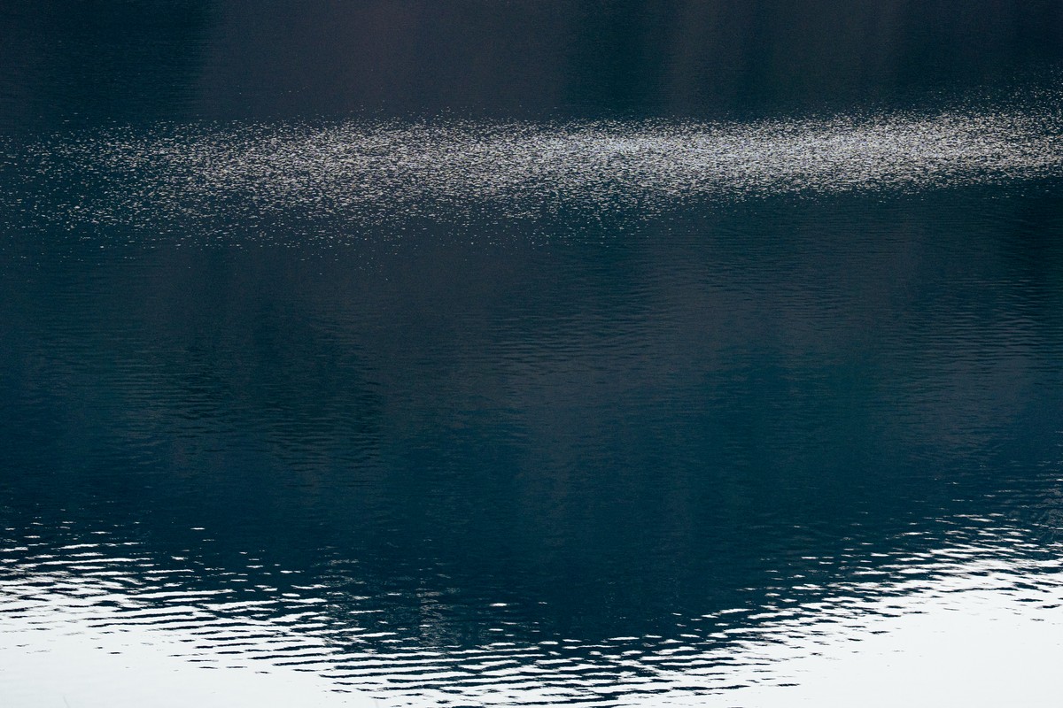 eqfoto의 사진 작품