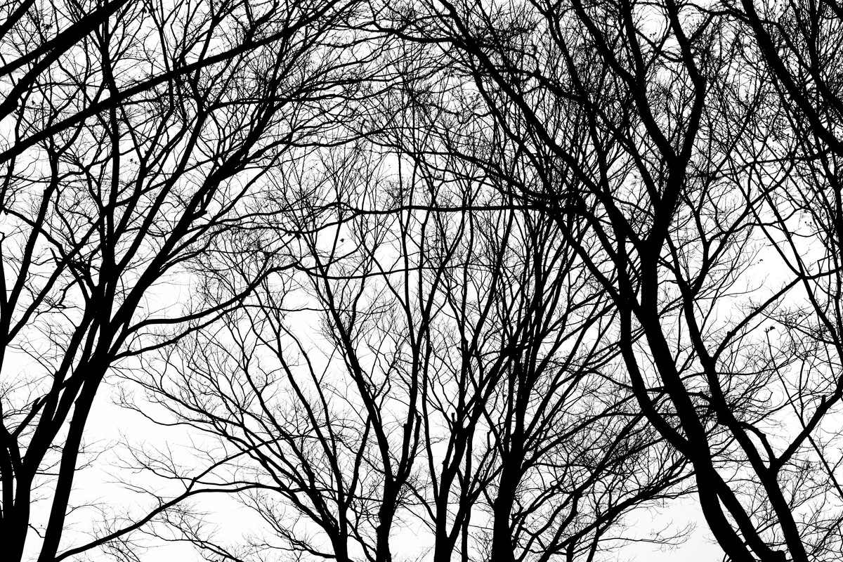 eqfoto의 사진 작품