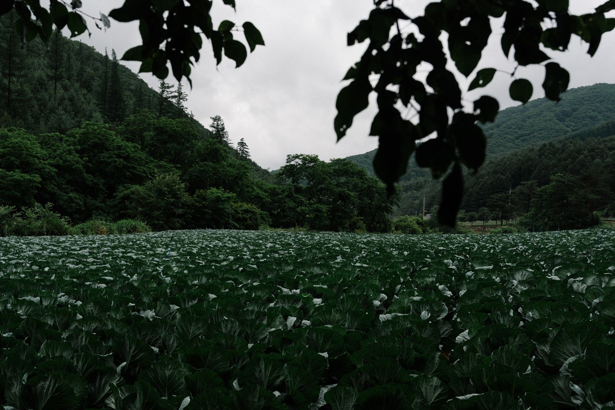 eqfoto의 사진 작품