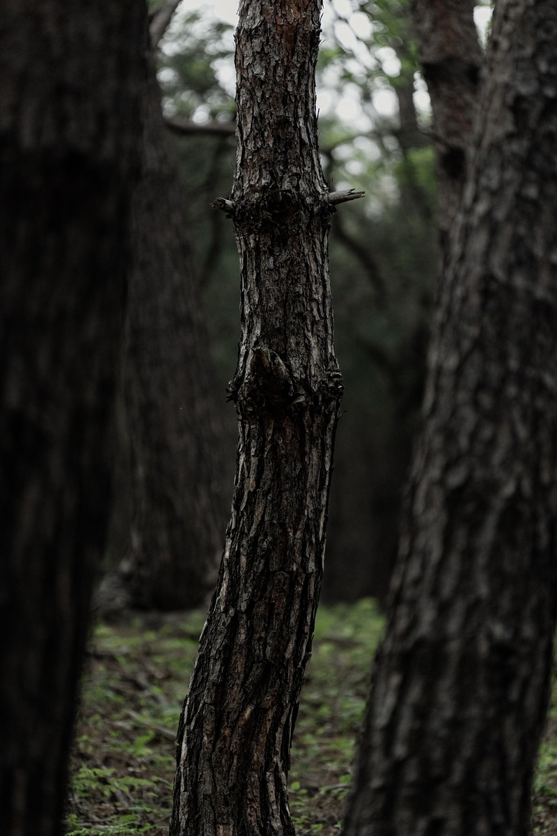 eqfoto의 사진 작품