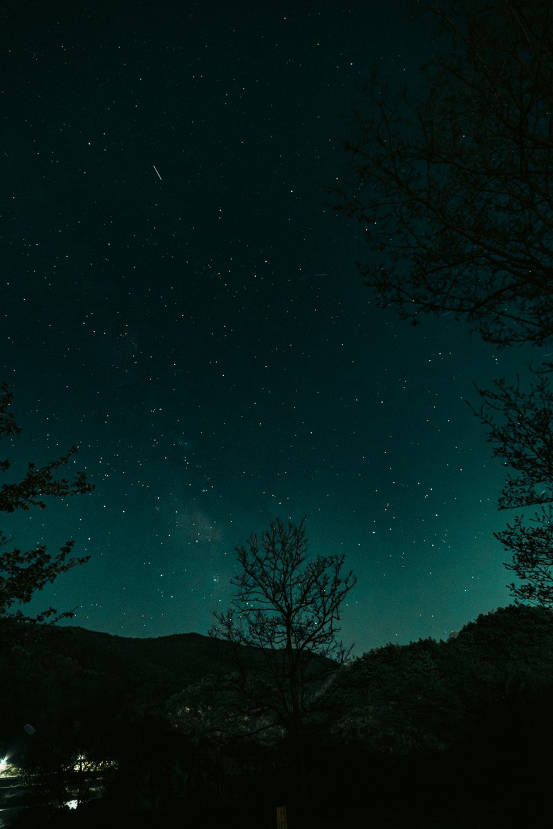 eqfoto의 사진 작품