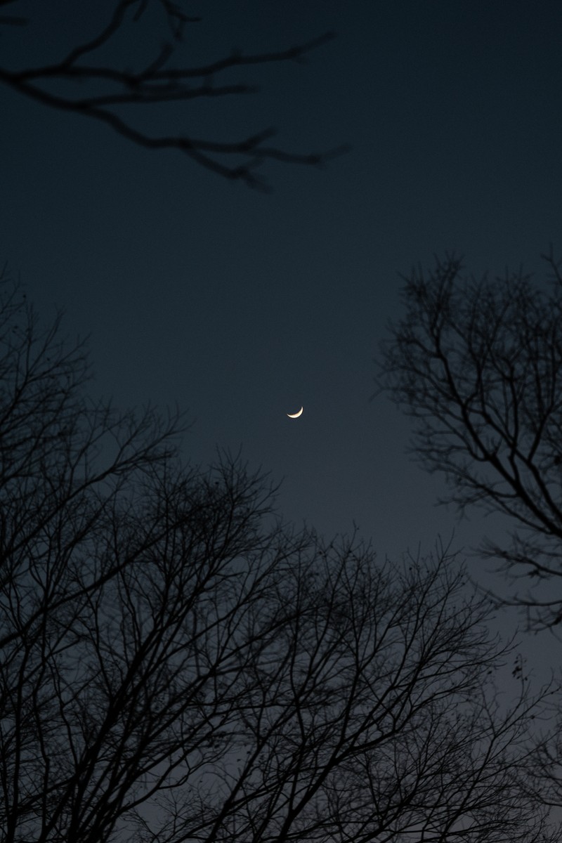 eqfoto의 사진 작품
