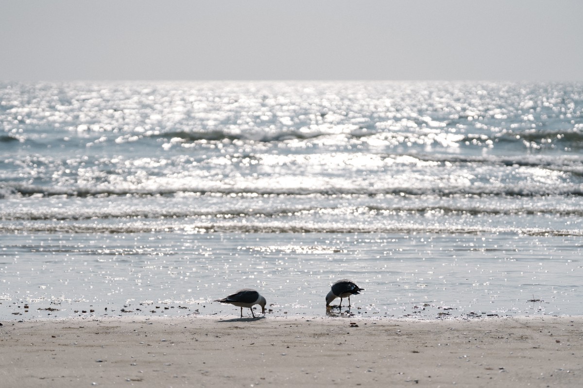 eqfoto의 사진 작품
