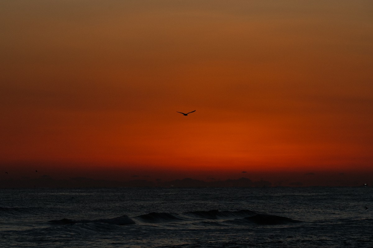 eqfoto의 사진 작품