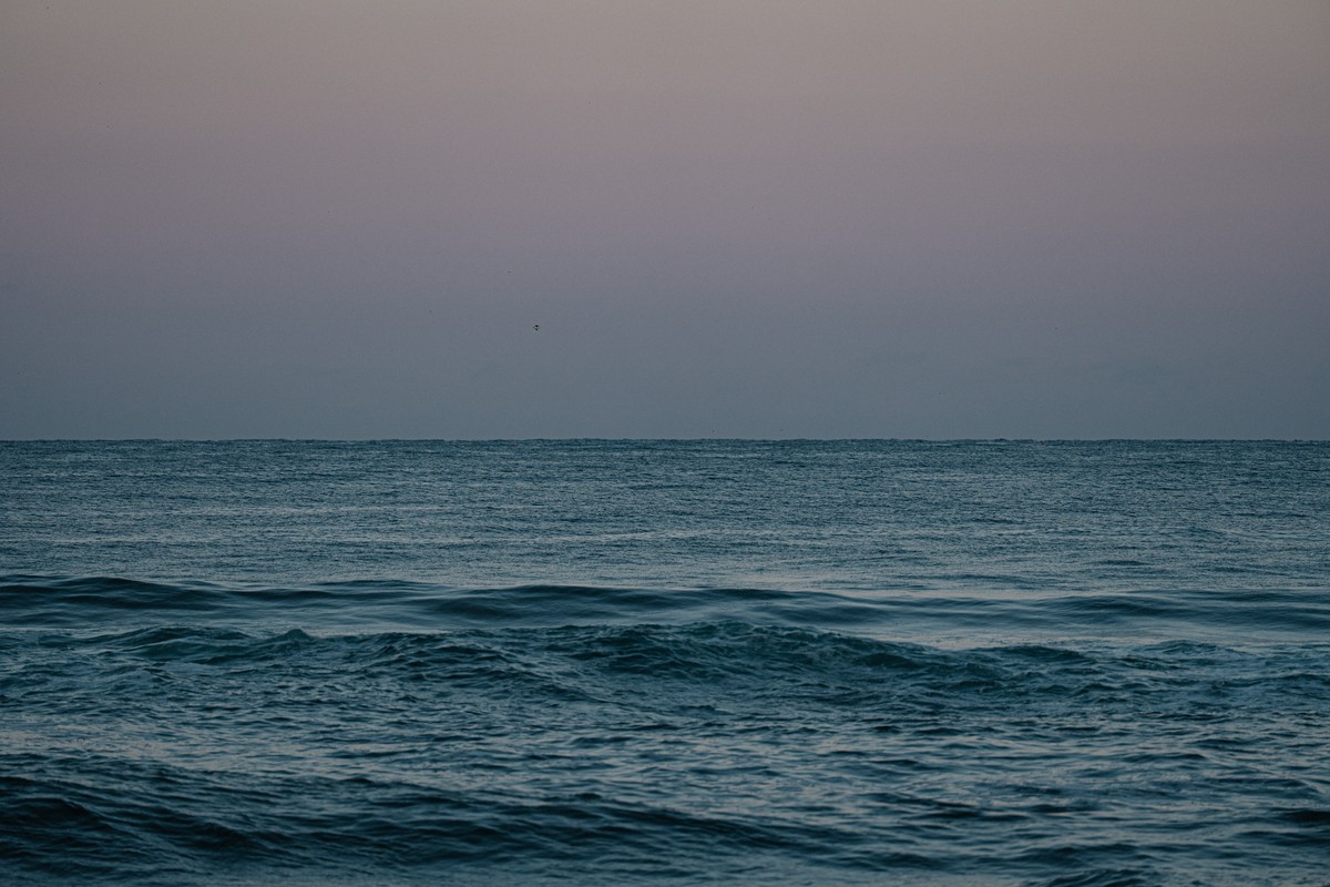 eqfoto의 사진 작품