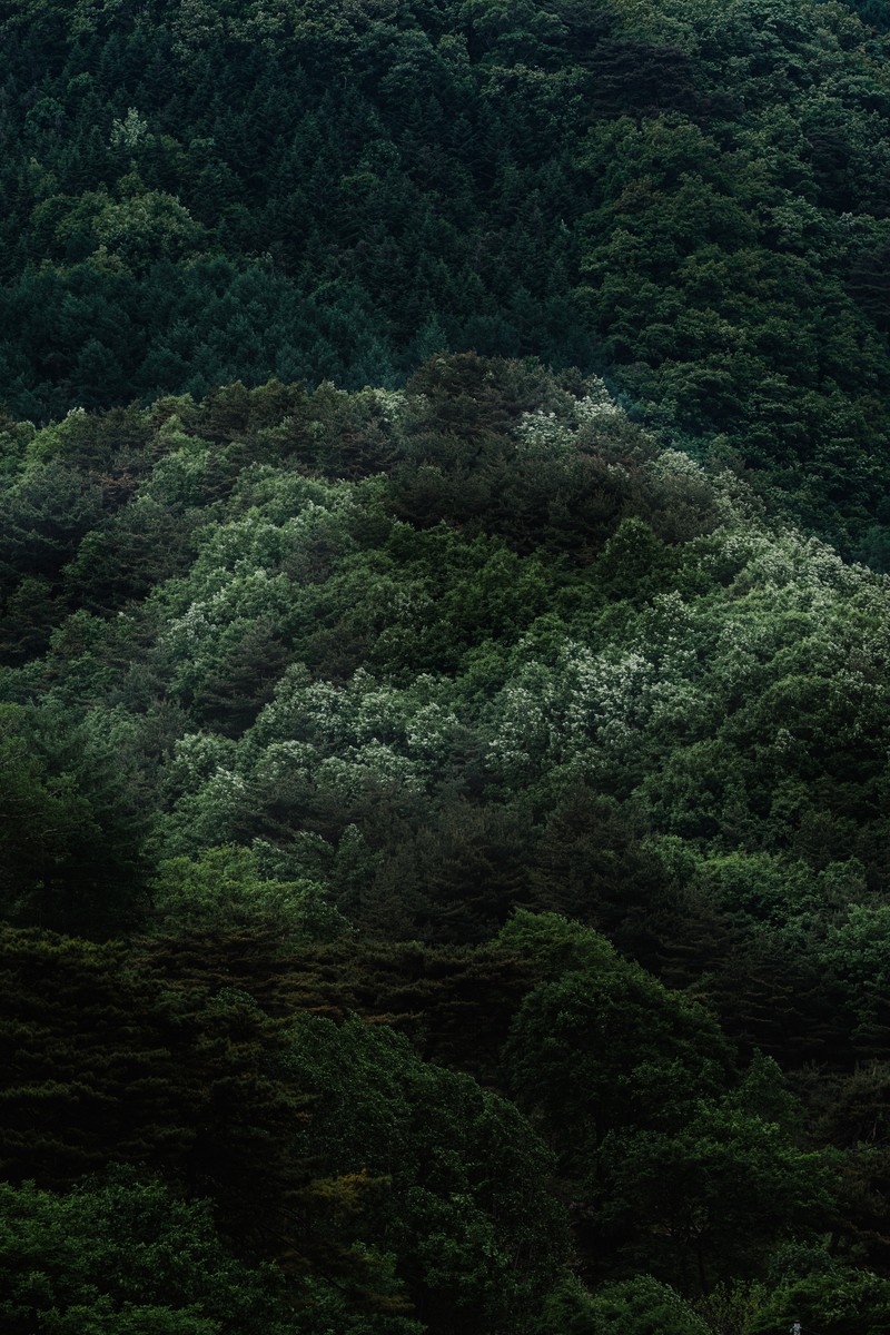 eqfoto의 사진 작품