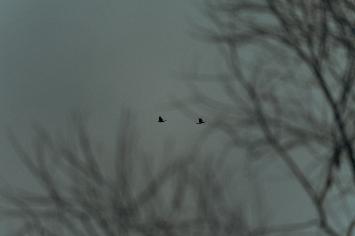 eqfoto의 사진 작품