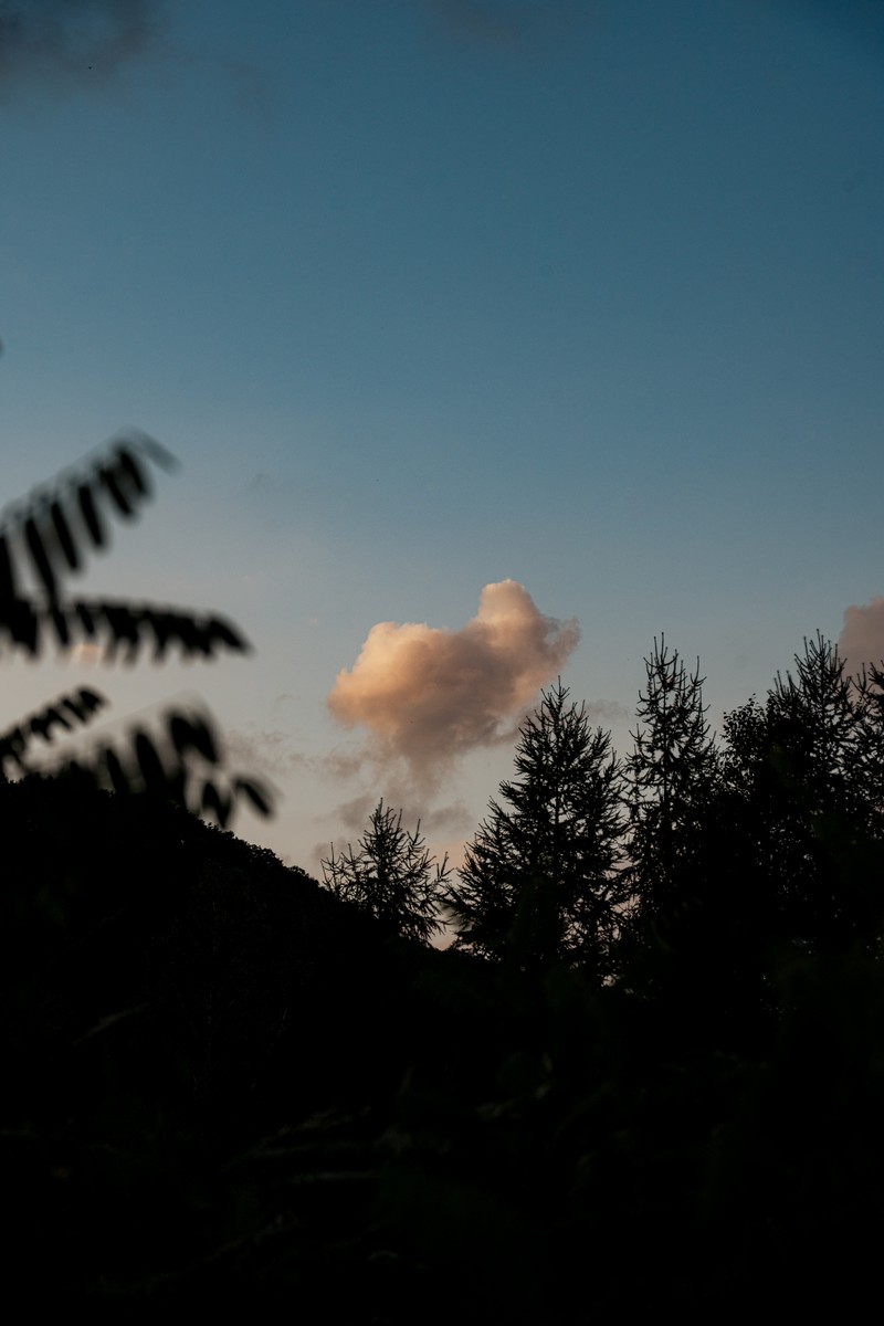 eqfoto의 사진 작품