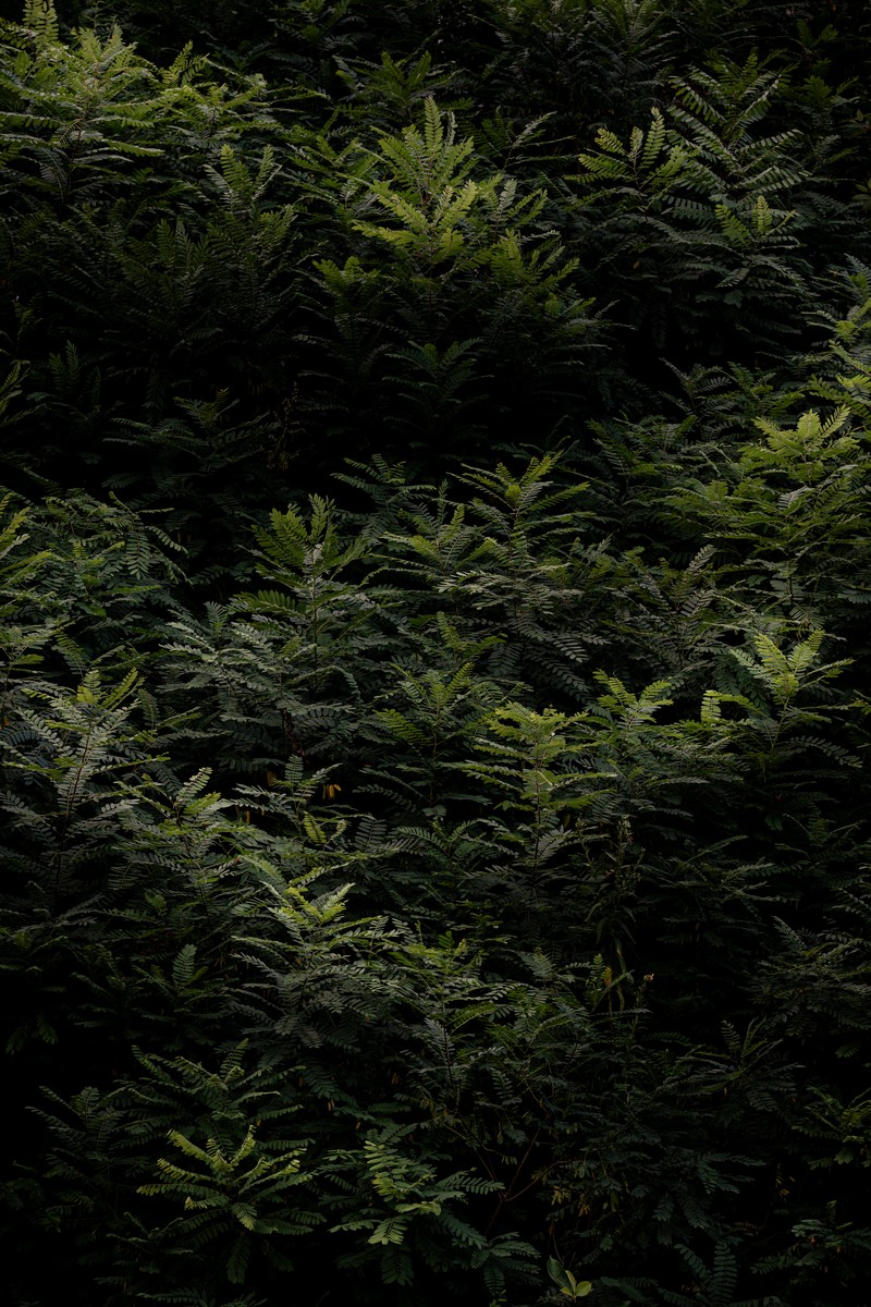 eqfoto의 사진 작품