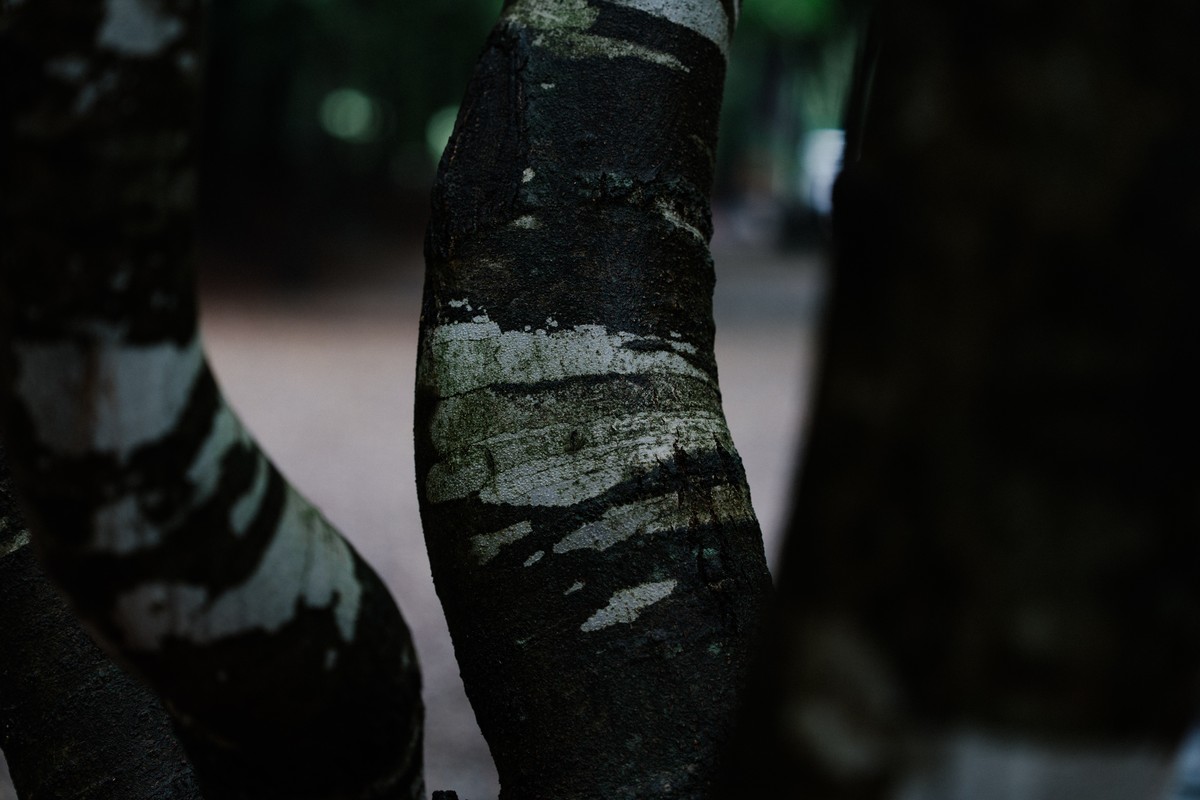 eqfoto의 사진 작품