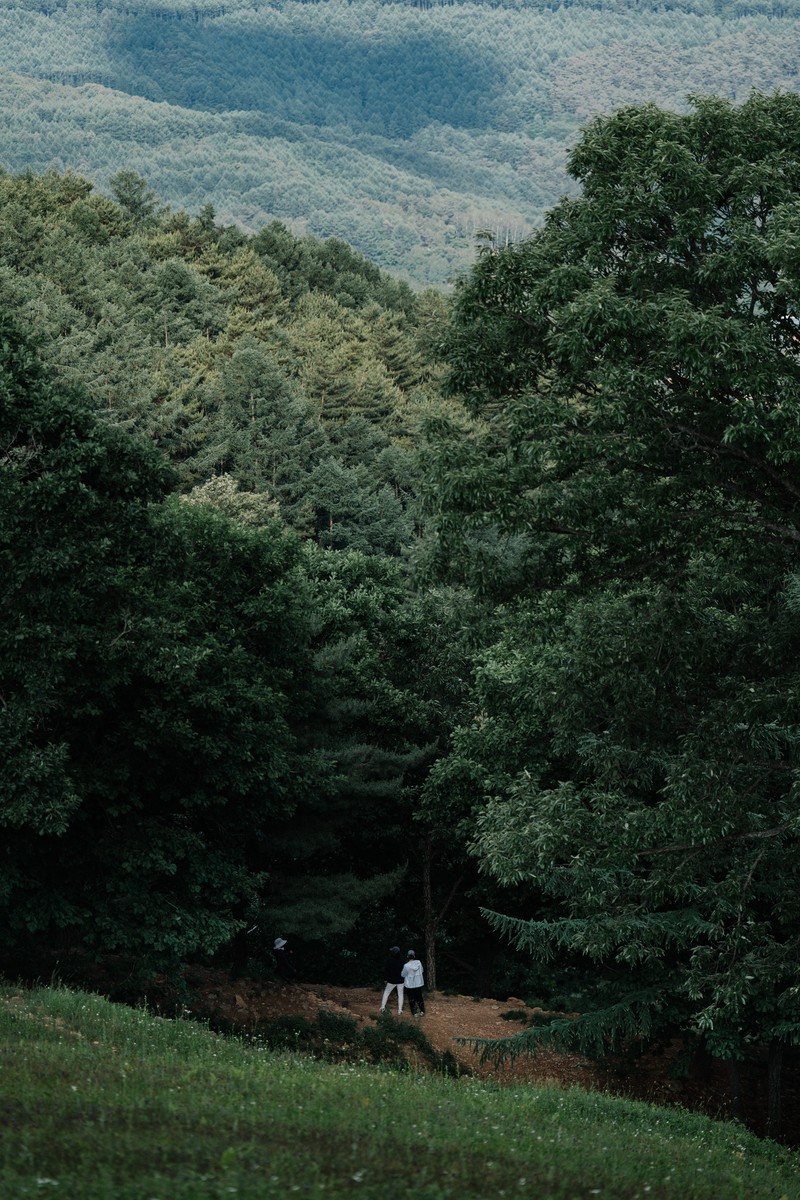 eqfoto의 사진 작품