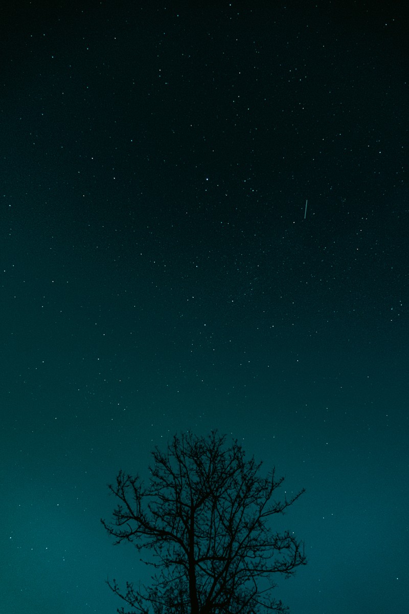 eqfoto의 사진 작품