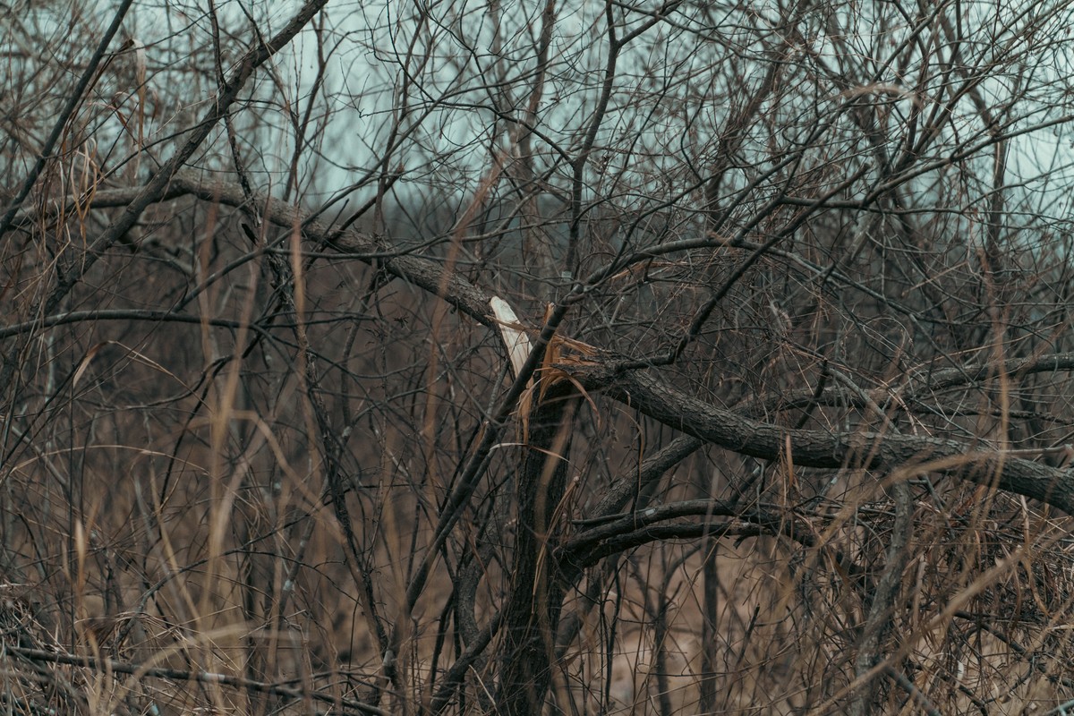 eqfoto의 사진 작품