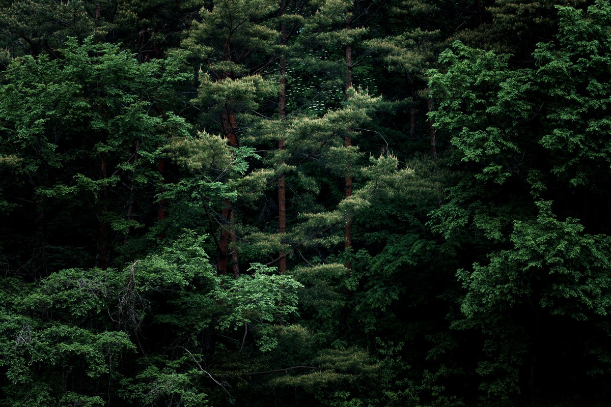 eqfoto의 사진 작품