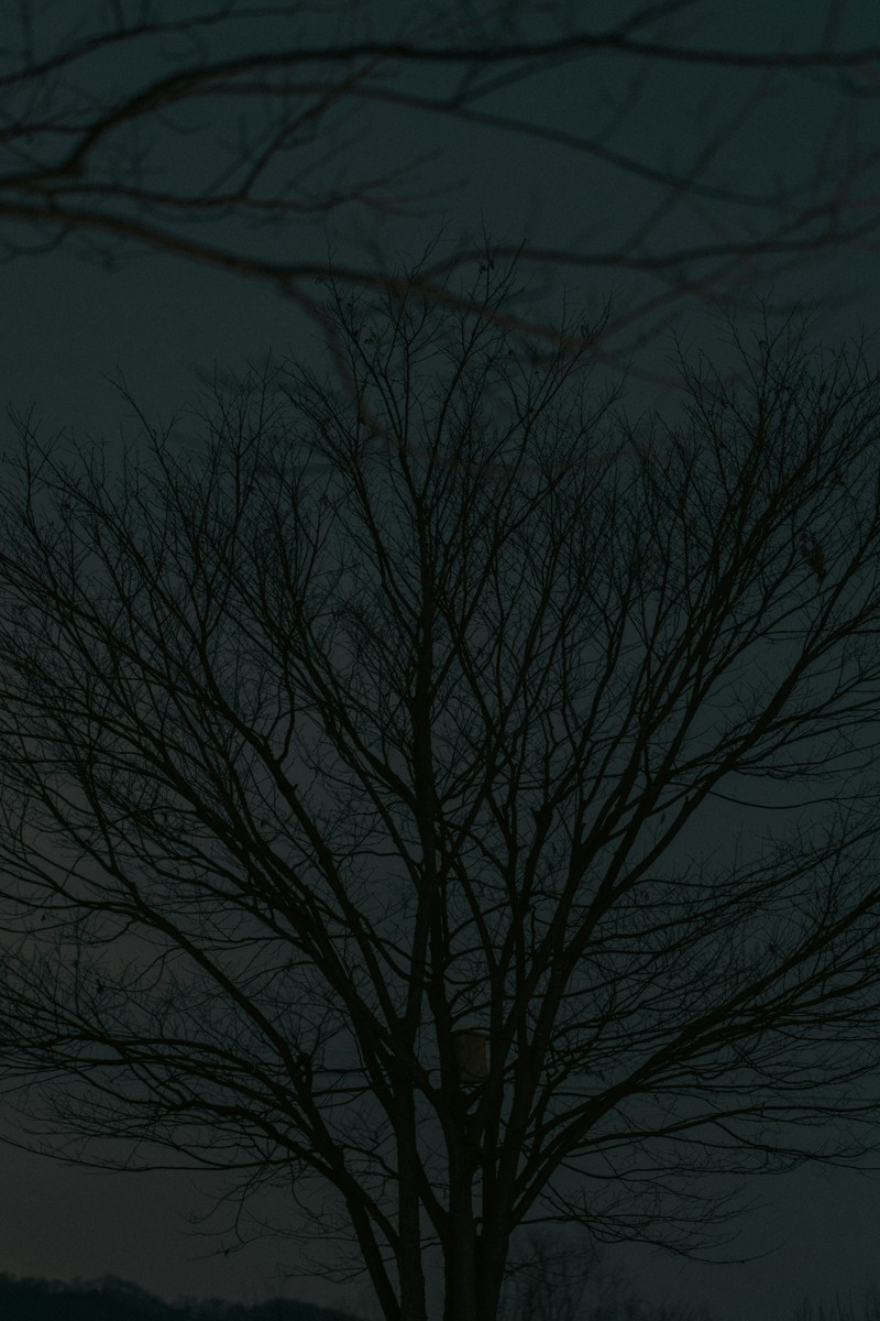 eqfoto의 사진 작품