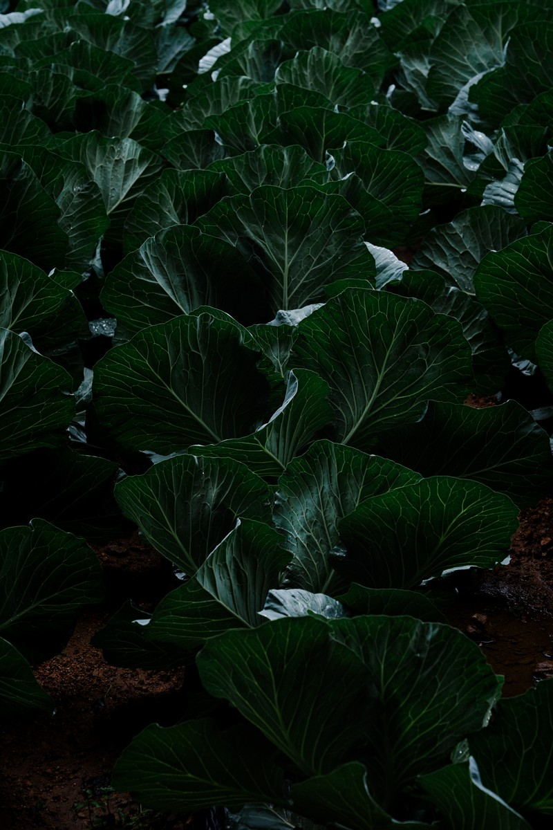 eqfoto의 사진 작품