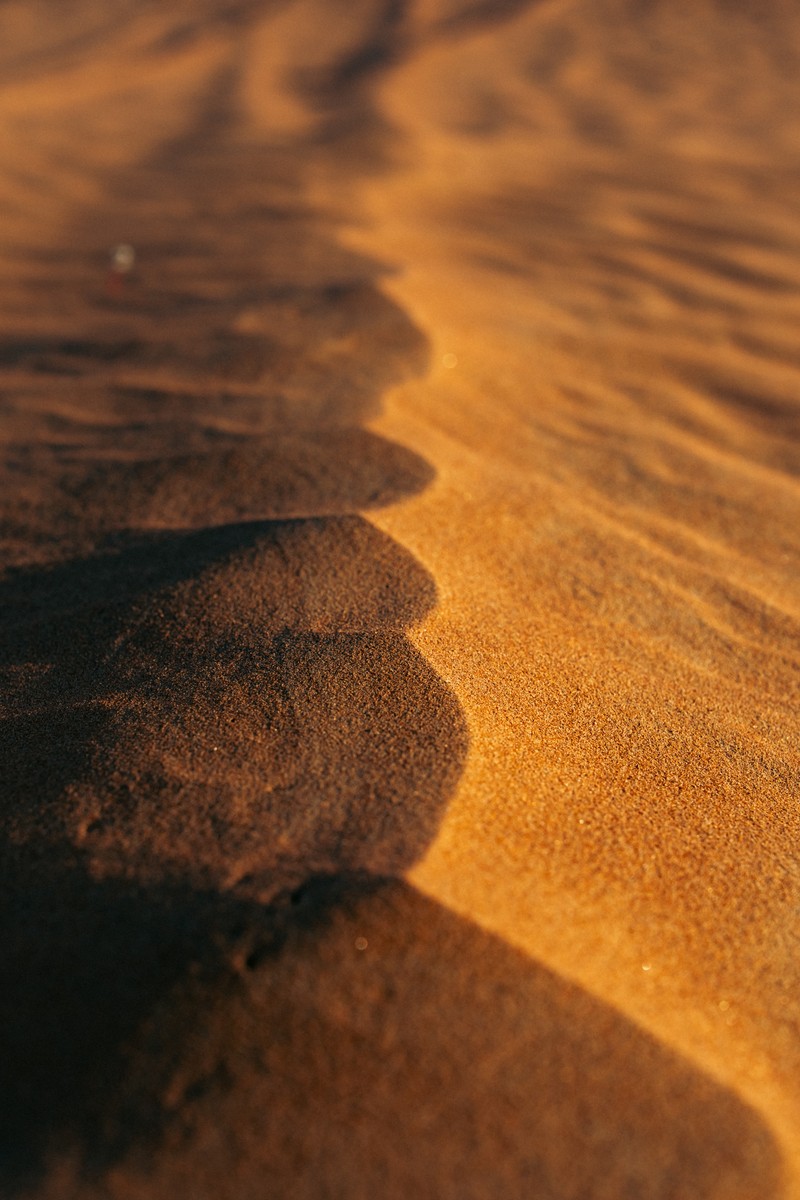 eqfoto의 사진 작품