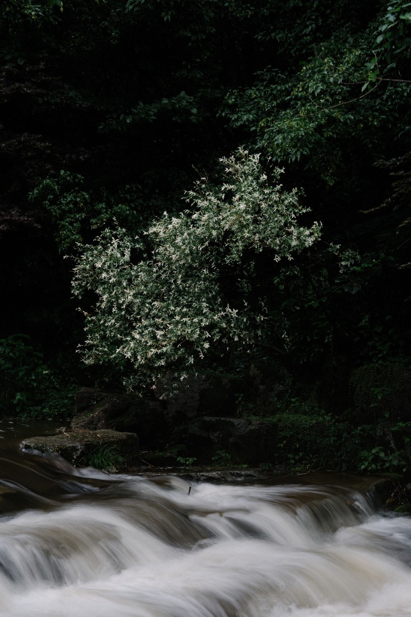 eqfoto의 사진 작품