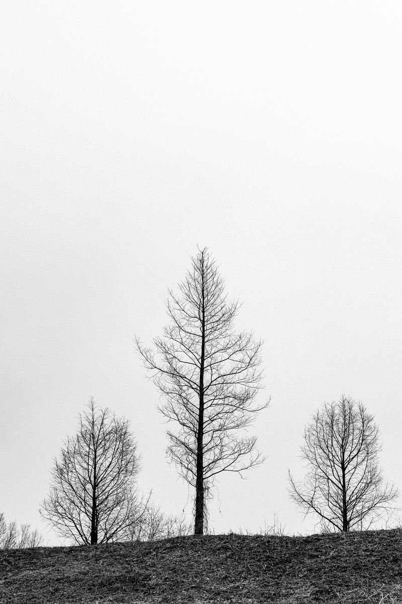 eqfoto의 사진 작품