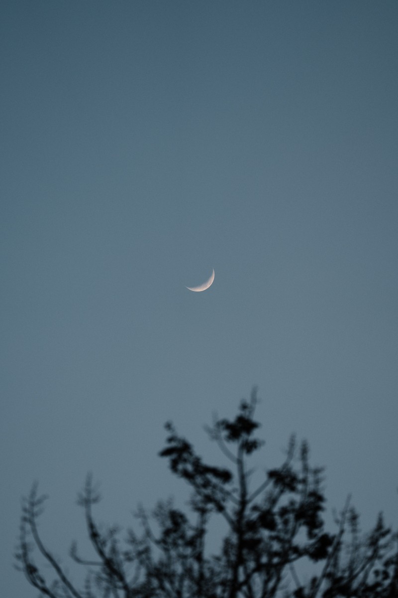 eqfoto의 사진 작품